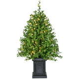 3-Ft. Boxwood Porch Tree in Black Pot with Warm White Lights, Set of 2
