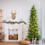 9-Ft. Carmel Pine Slim Christmas Tree with Warm White LED Lights