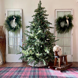 6.5-Ft. Foxtail Pine Christmas Tree