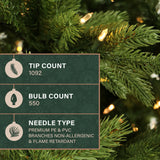 6.5-Ft. Foxtail Pine Christmas Tree with Warm White LED Lights