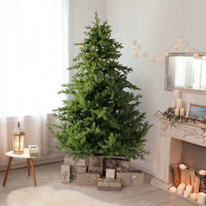 7.5-Ft. Foxtail Pine Christmas Tree