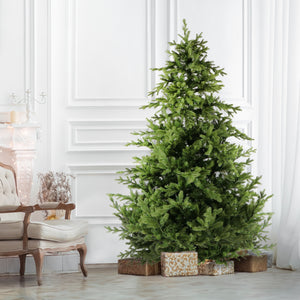 7.5-Ft. Foxtail Pine Christmas Tree