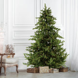 7.5-Ft. Foxtail Pine Christmas Tree with White Incandescent Smart Lights