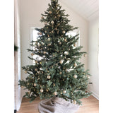 7.5-Ft. Foxtail Pine Christmas Tree with White Incandescent Smart Lights