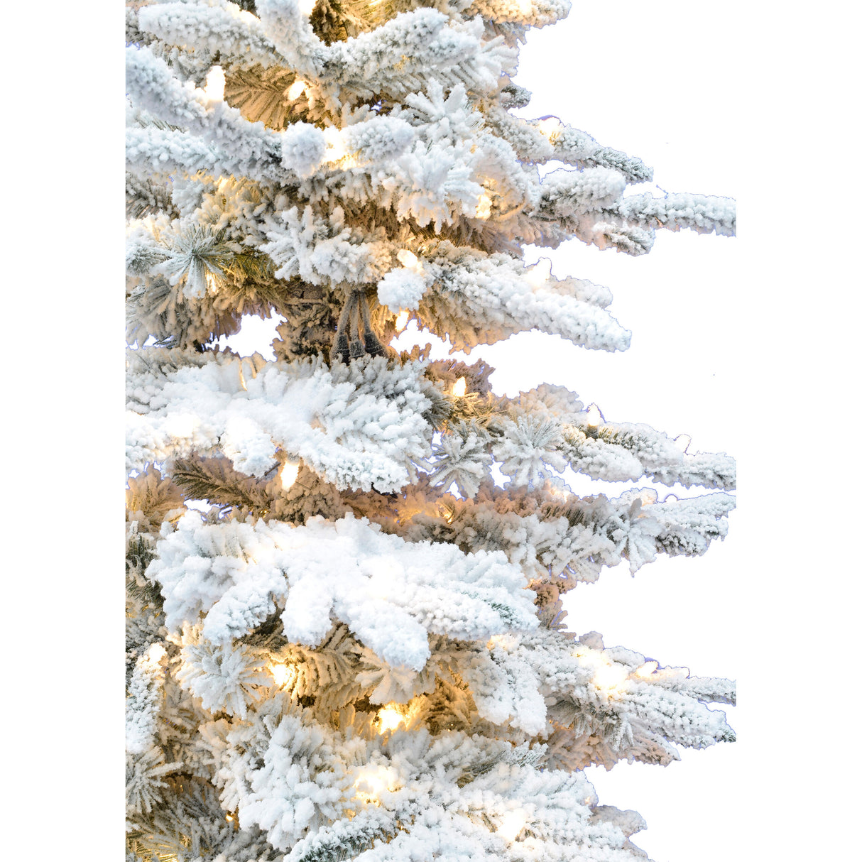 Fraser Hill Farm 10-Ft Flocked Mountain Pine Artificial Christmas Tree with White Incandescent Smart Lights