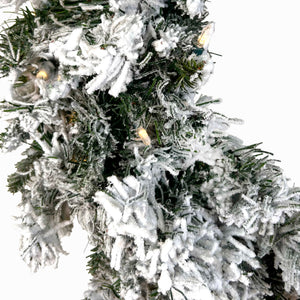 Fraser Hill Farm 24-In Mountain Pine Flocked Artificial Wreath with Warm White LED Lights