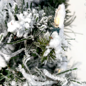 Fraser Hill Farm 24-In Mountain Pine Flocked Artificial Wreath with Warm White LED Lights