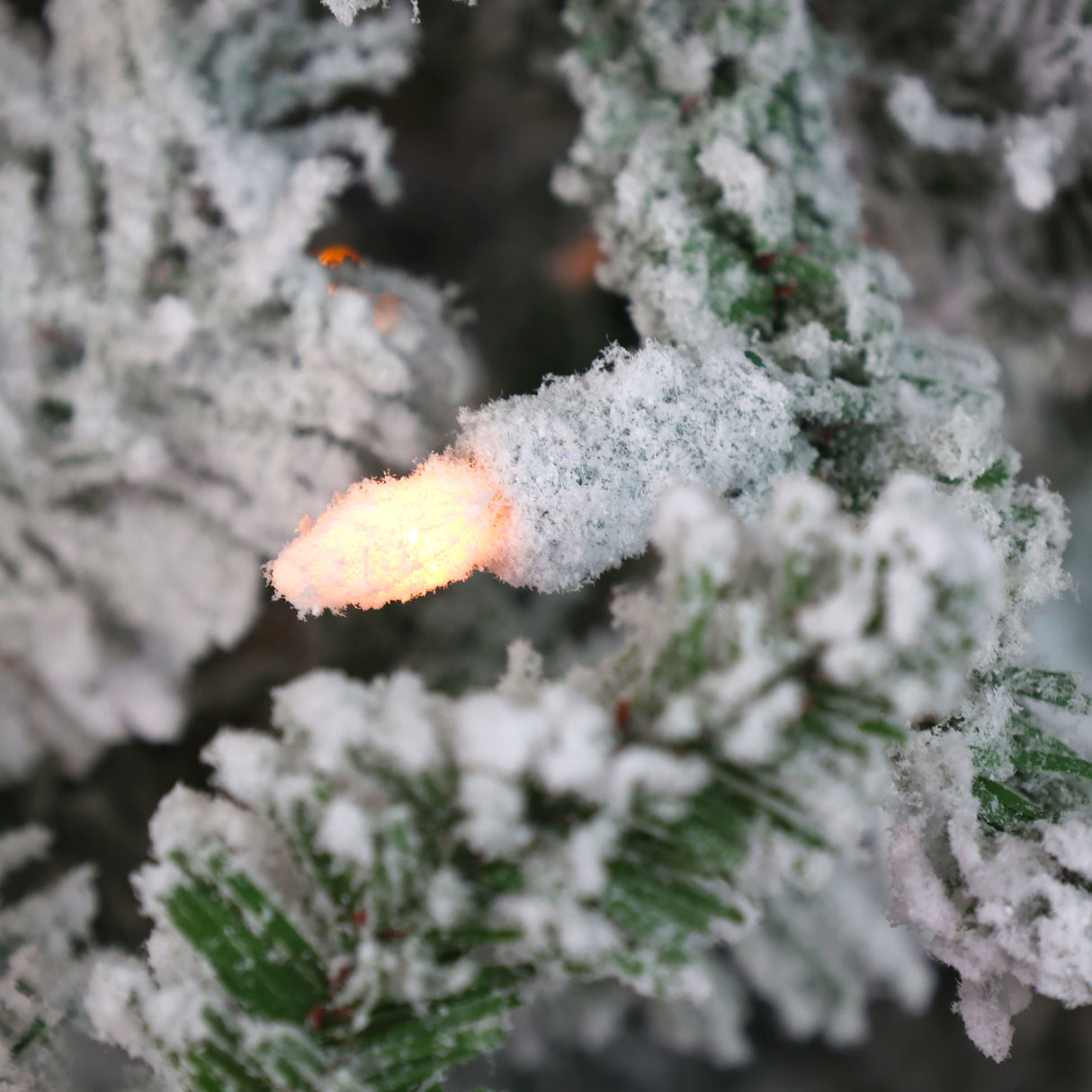 Fraser Hill Farm 6.5-Ft Flocked Mountain Pine Artificial Christmas Tree with White Incandescent Smart Lights