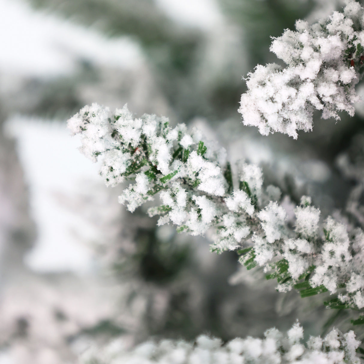 6.5-Ft. Slim Mountain Pine Flocked Christmas Tree with Warm White LED Lights