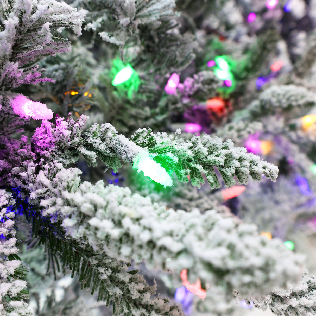 Fraser Hill Farm 9-Ft Slim Mountain Pine Flocked Christmas Tree with Dual Multicolor & White LED Lights