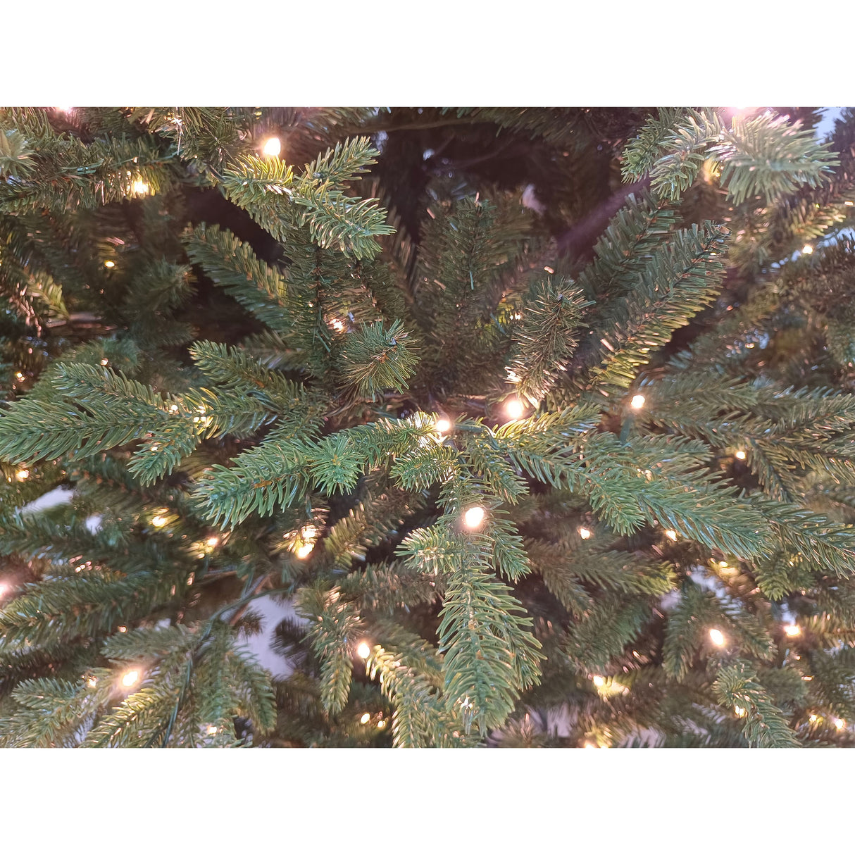 7.5-Ft. Oregon Pine Christmas Tree with Warm White LED Lighting