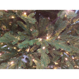7.5-Ft. Oregon Pine Christmas Tree with Warm White LED Lighting
