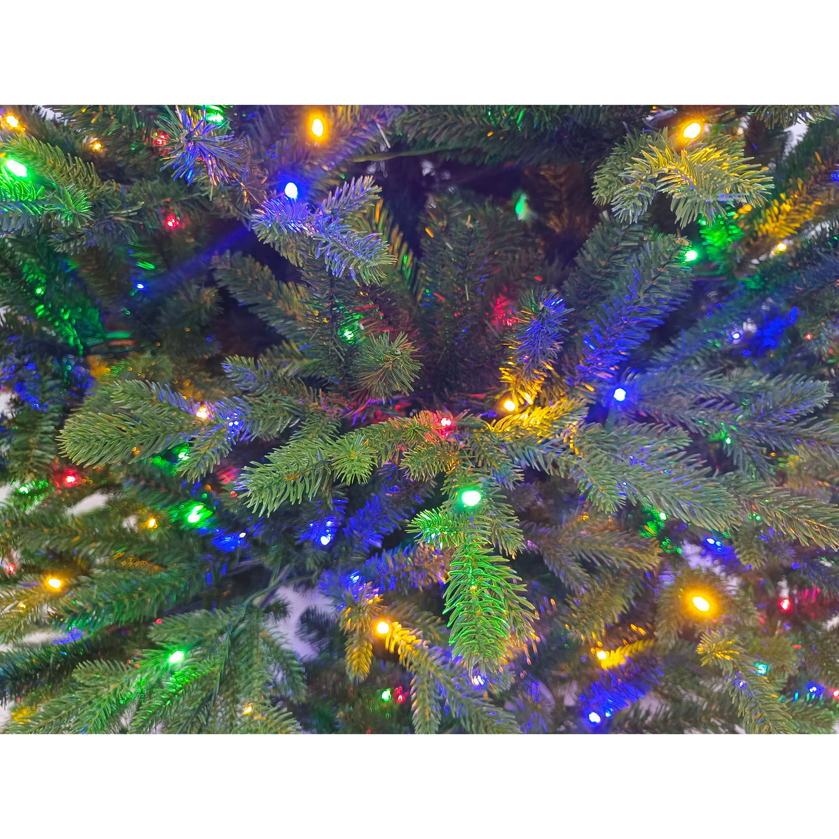 7.5-Ft. Oregon Pine Christmas Tree with Dual Multicolor & Warm White LED Lights
