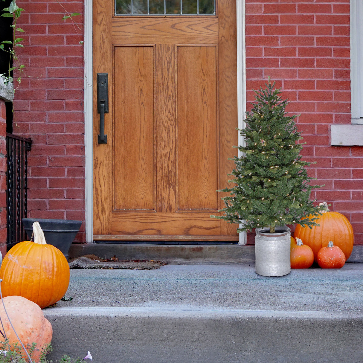 3.5-Ft. Porch Accent Tree in Rustic Farmhouse Metal Jug with Warm White LED Lighting