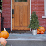 3.5-Ft. Porch Accent Tree in Rustic Farmhouse Metal Jug with Warm White LED Lighting