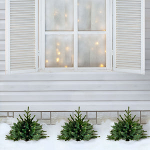 Set-of-3-Prelit-18-in.-Artificial-Sidewalk-Trees-with-Warm-White-LED-Lights-Christmas-Trees