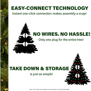 6.5-Ft. Flocked Pine Valley Christmas Tree with Dual Multicolor & Warm White LED Lights