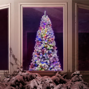 7.5-Ft. Flocked Silverton Fir Christmas Tree with Dual Multicolor & Warm White LED Lights