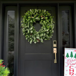 36-in. Frosted Pine Wreath with Pinecones