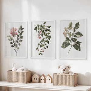 Floral Set of 3 Piece Wall Art. Magnolia, Honeysuckle Prints