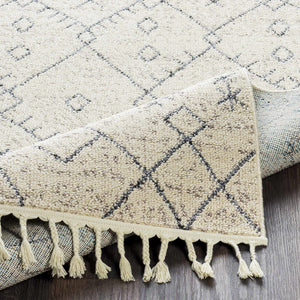 Furman Area Rug - Clearance