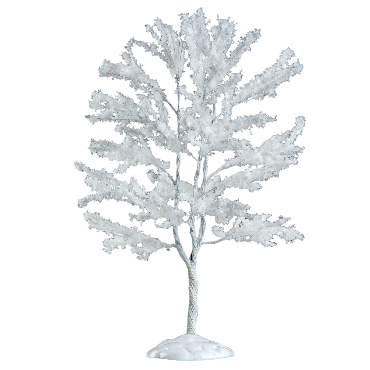 Snowy Black Walnut Tree