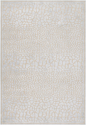 Galva Area Rug - Clearance