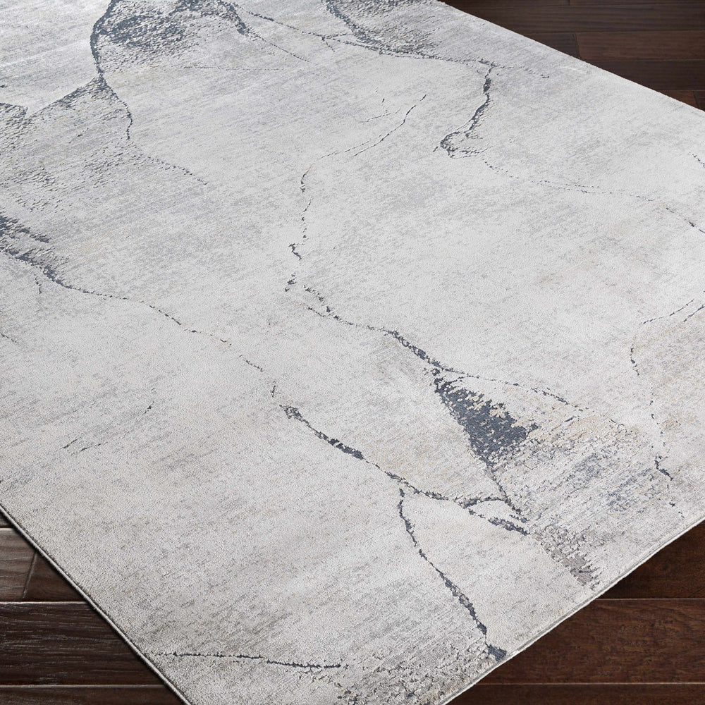 Gasquet Gray Marble Textured Luxe Rug