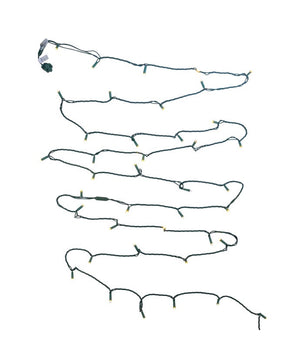 50-Light Warm White Soft Twinkle Green Wire LED Light Set