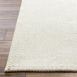 Ozzie Textured Ivory Area Rug