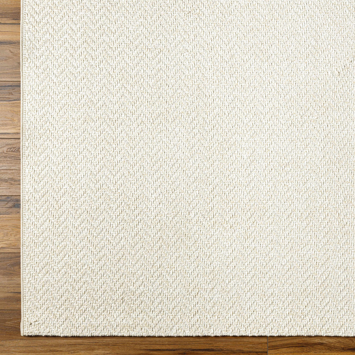 Ozzie Textured Ivory Area Rug