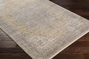 Misa Mustard & Gray Area Rug - Clearance