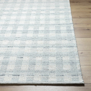 Garth Light Slate Area Rug