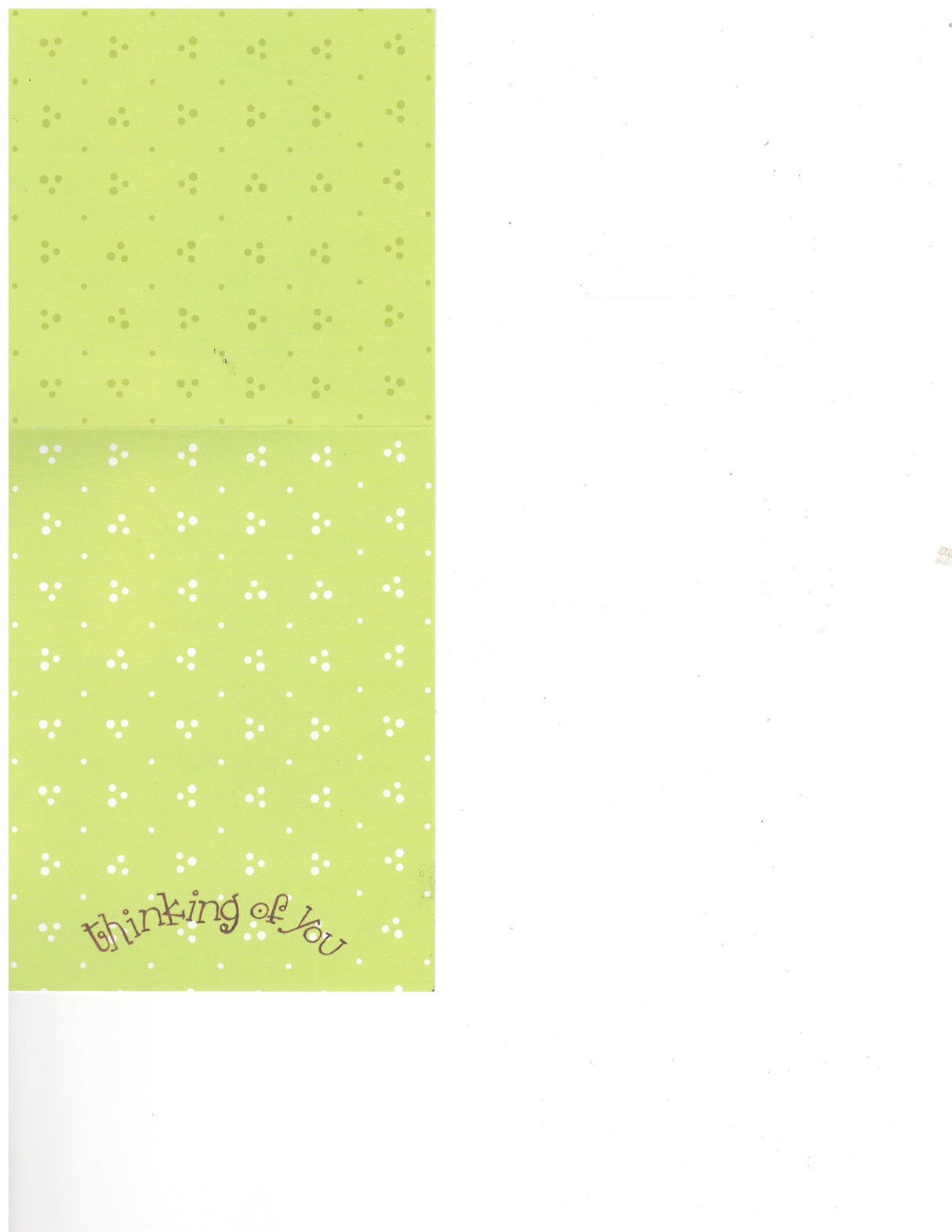 Little Birdy Thinking of You Card