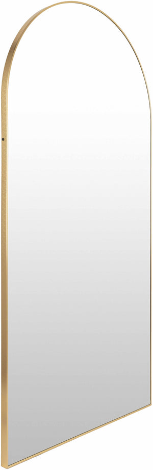 Anipovka Mirror