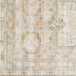Medallion Machine Washable Accent Area Rug 5 x 7 - Nava Collection
