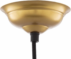 Gastonia Ceiling Light - Clearance