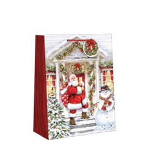 Traditional Small Gift Bag - Santa Delivers