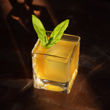 Braque crystal rocks glasses viski®