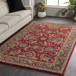Hankamer Persian Style Wool Rug - Clearance