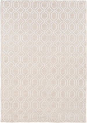 Haynes Area Rug - Clearance