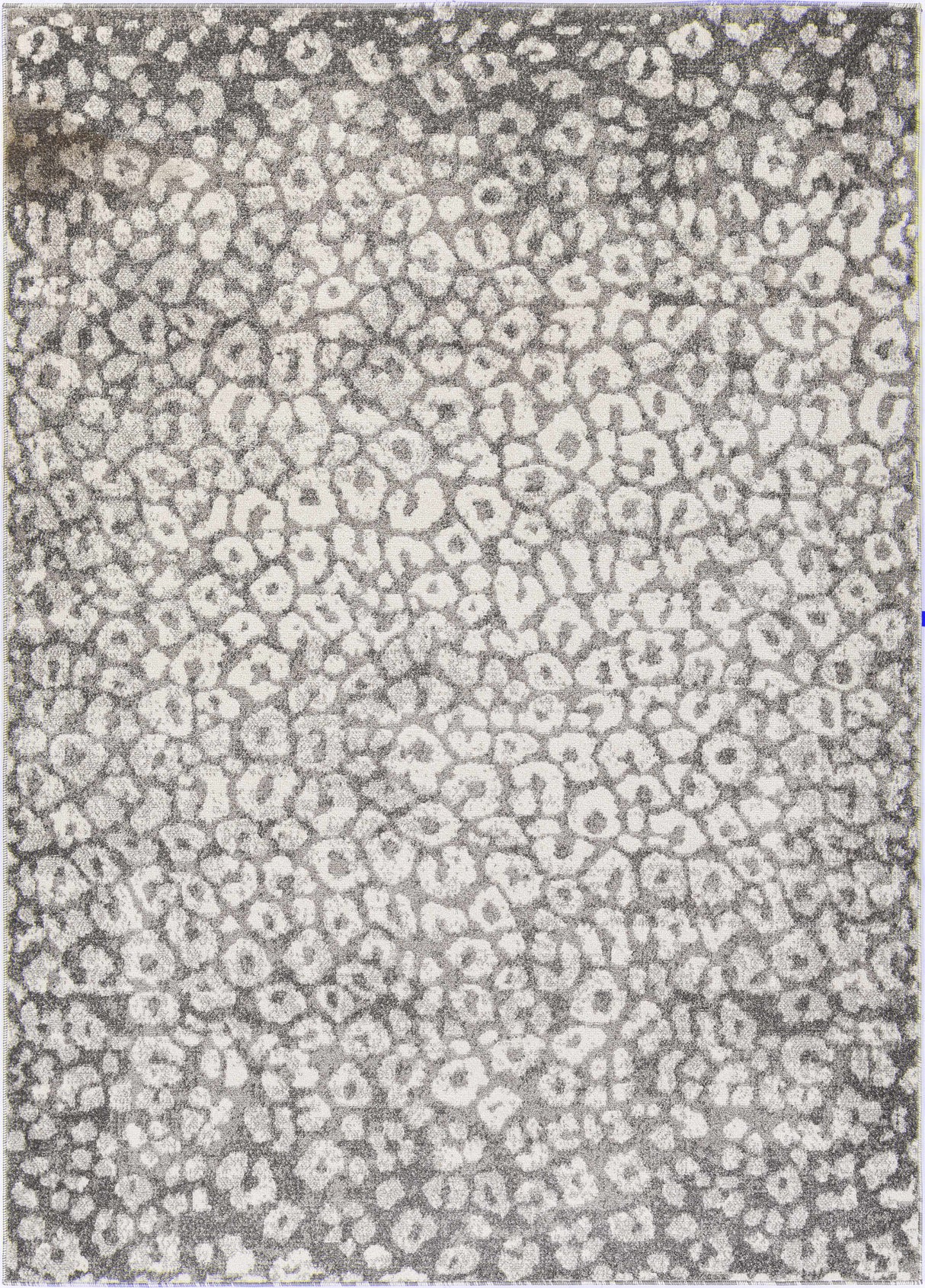 Gray Hubbardsville Leopard Print Area Rug - Clearance
