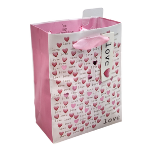Mini Love and Hearts Gift Bag