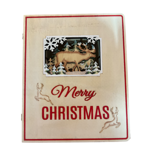 Merry Christmas Advent Book
