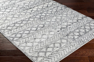 Hosa Area Rug