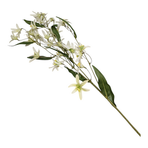 White Jasmine Stem - 29 Inch