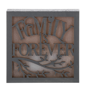 Laser Cut Light Up Blocks -