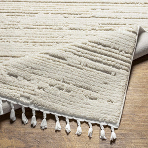 Ibarra Textured Ivory High/Low Pile Rug with Tassels