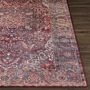 Ichon Area Rug - Clearance