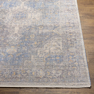 Akio Blue Area Rug - Clearance